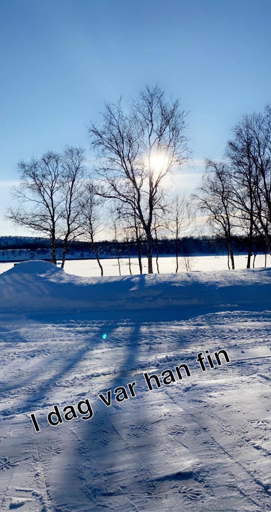 Cottage With Good Standard Next To Neiden River Bagian luar foto